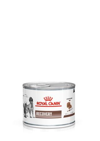 Recovery